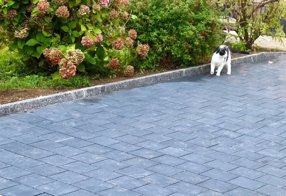 Belagsarbeiten Referenz 8